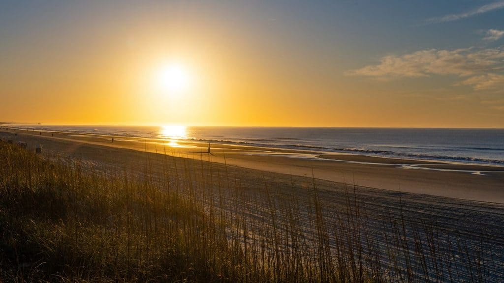 Sunrise over a flat beach with tall grasses in the foreground.
