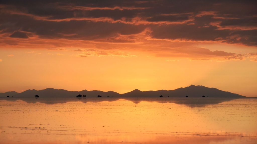 Silhouetted people and vehicles on the salt flats during an eclipse tour in Spain, captured at sunset with a reflection in the shallow water.