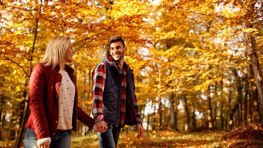 A couple holds hands while walking through a forest of golden autumn leaves, embracing the peak of cuffing season.