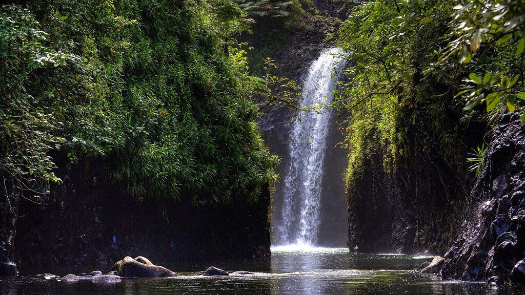 A waterfall flows into a pool surrounded by mossy rock walls and lush green foliage.