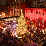 Aerial view of a large, lit Christmas tree in a crowded courtyard surrounded by brick buildings at night.