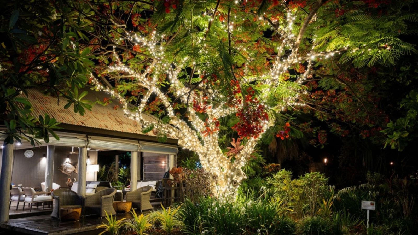 A large tree adorned with glowing fairy lights at night, next to a lit outdoor patio.