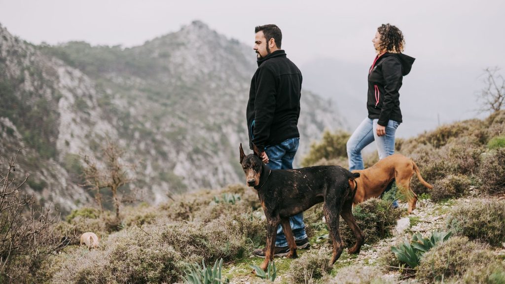 A man and woman hiking with dogs on a rocky hillside.