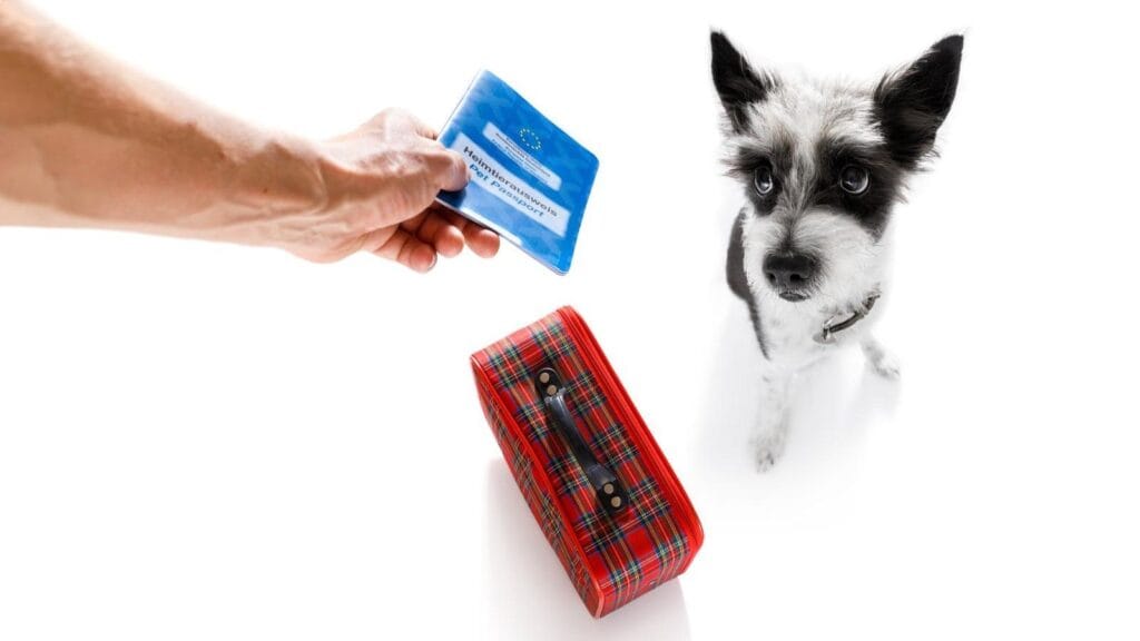 A hand holds a blue pet passport above a small red suitcase next to a scruffy dog, illustrating dog import rules for US travelers.