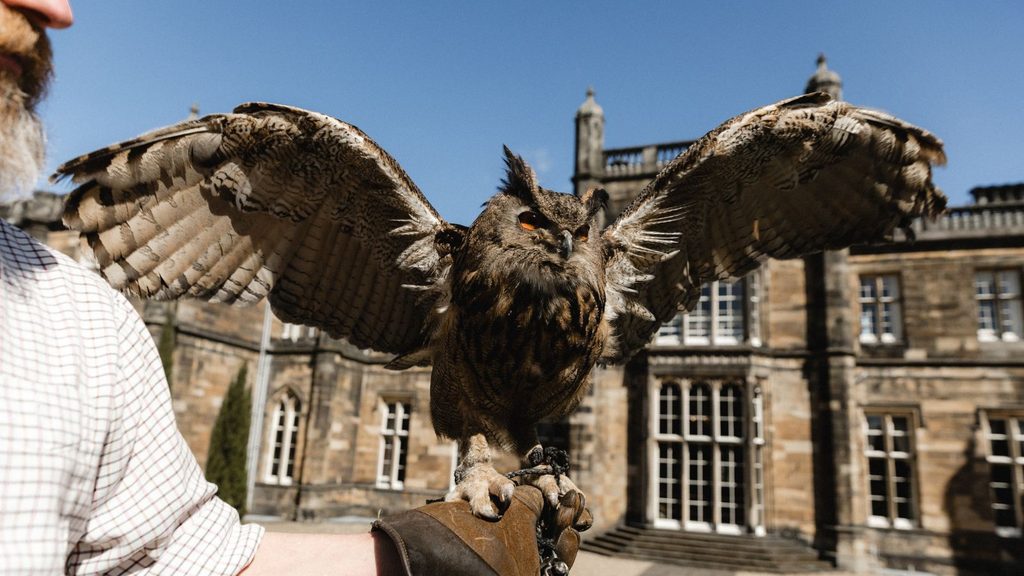A person wearing a leather glove holds a great horned owl with its wings spread, in front of a stone building.