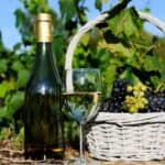 A bottle of white wine and a glass sit next to a basket of harvested grapes in a vineyard, highlighting interesting wine harvest facts.